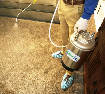 Technician sanitizes carpet with spray